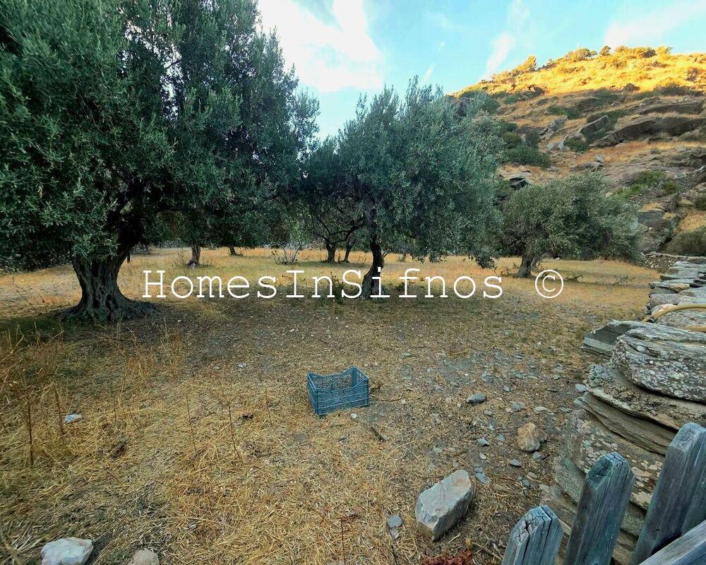 Apokofto Land For Sale - 1