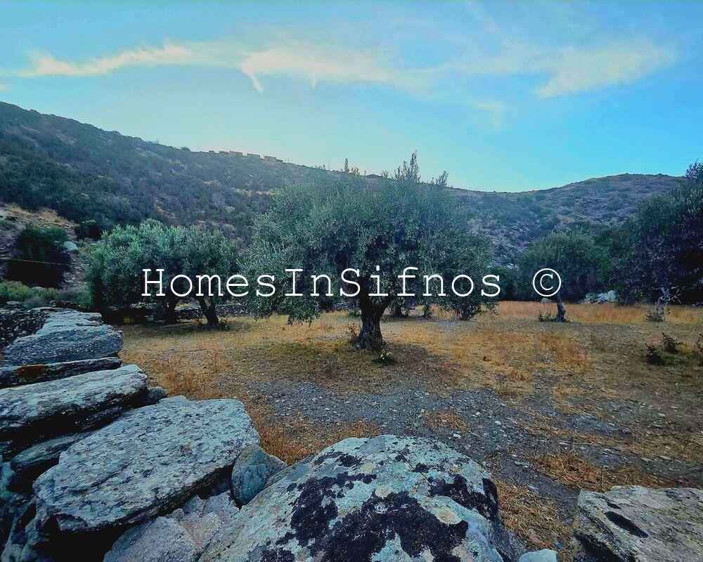 Apokofto Land For Sale - 2
