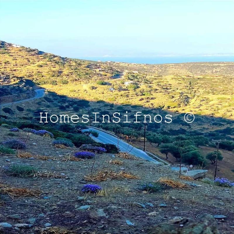Merisini Land For Sale Or House Exchange - 2
