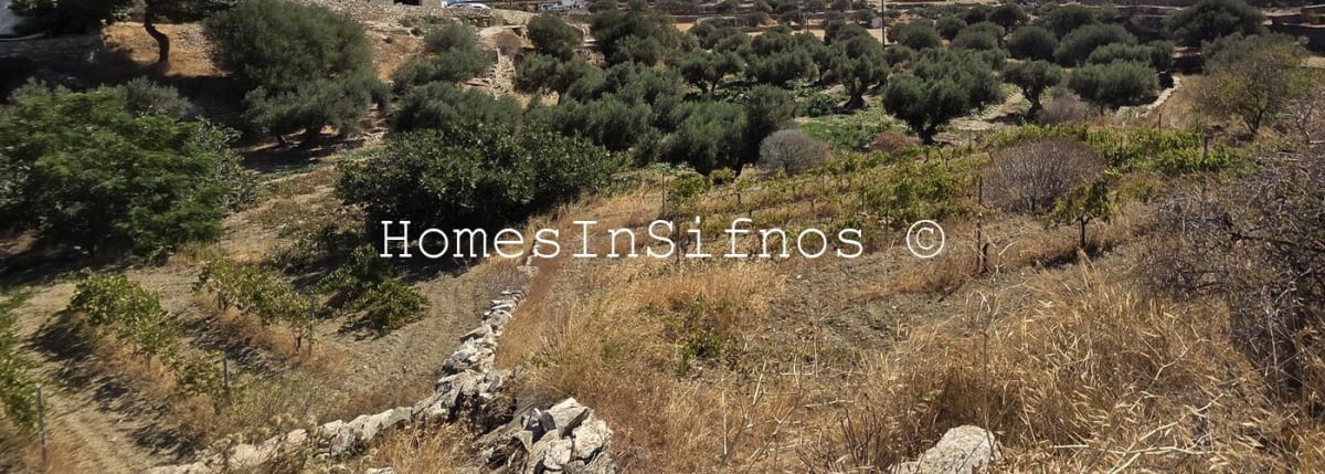 Land For Sale In SIFNOS - 2
