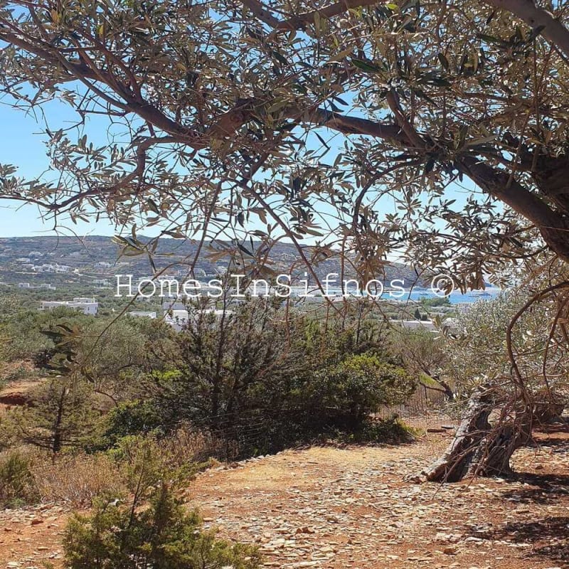 Platis Gialos Land For Sale - 2