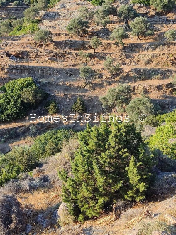 Vigla Big Land For Sale - 2