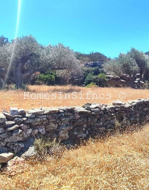 Vlysidi Land For Sale - 6