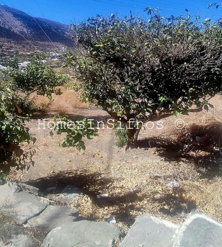 Detached House With Garden & Possibility Of Expansion For Sale - 6