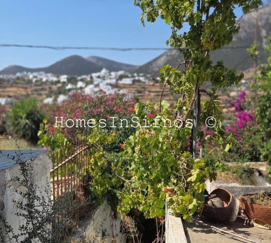 Detached House With Garden & Possibility Of Expansion For Sale - 9