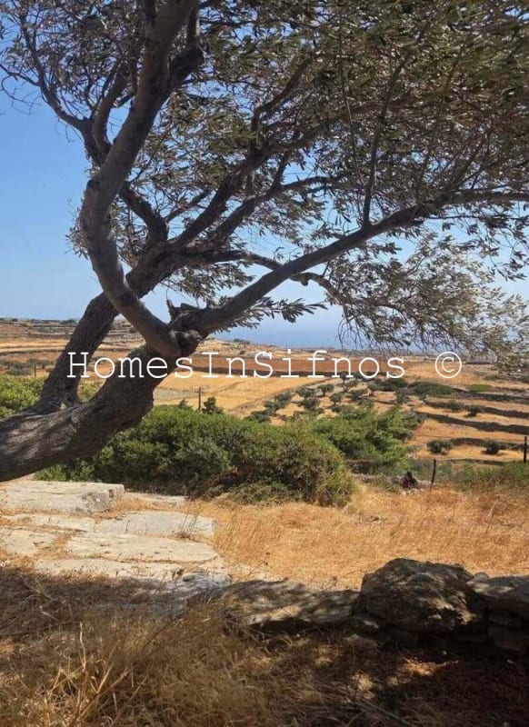 Apollonia Land & Stone Buildings For Sale - 7
