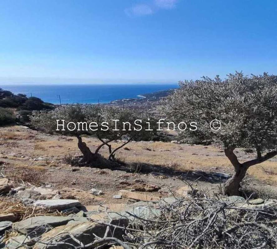 Ano Merisini 2 Adjacent Lands With Building Permits For Sale. - 5