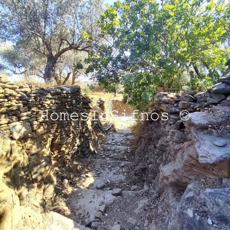Artemonas Land & Old Buildings For Sale - 2