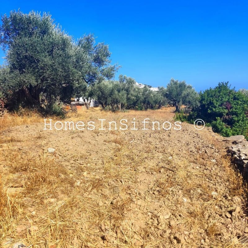 Artemonas Land & Old Buildings For Sale - 4
