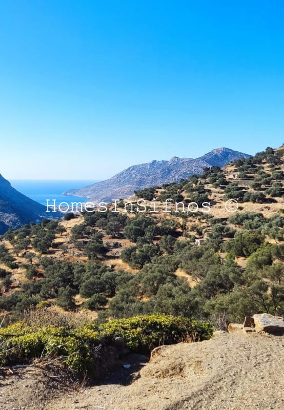 Artemonas Land For Sale