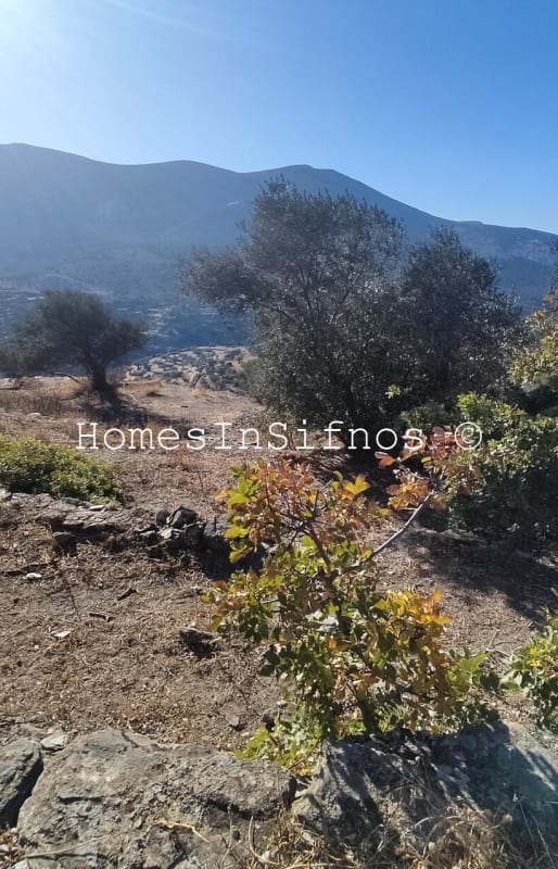 Artemonas Land For Sale - 3