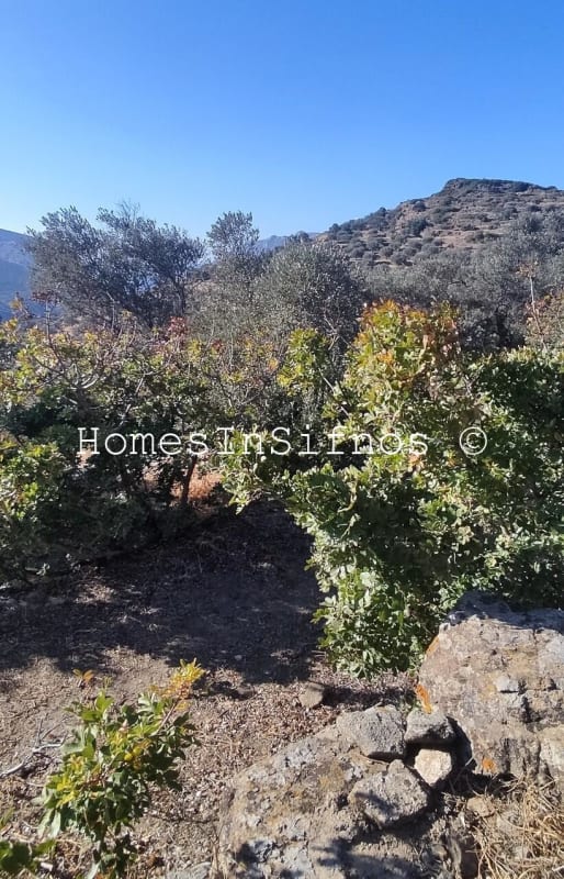 Artemonas Land For Sale - 4