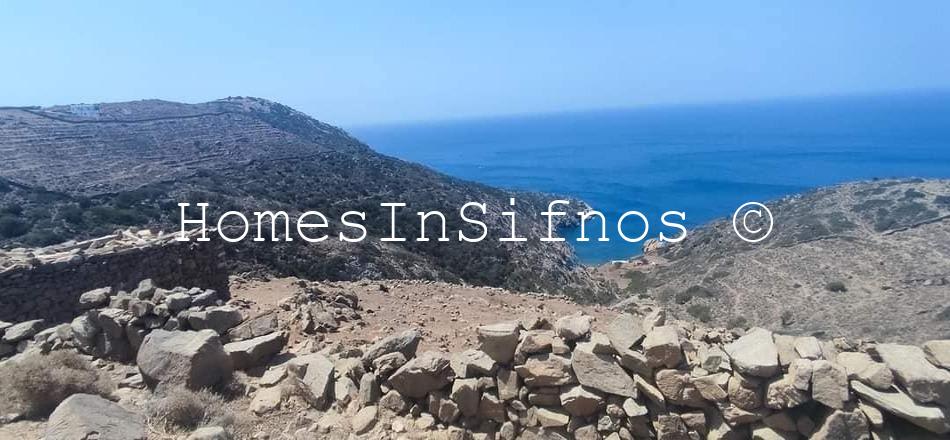 Artemonas Big Land For Sale - 2