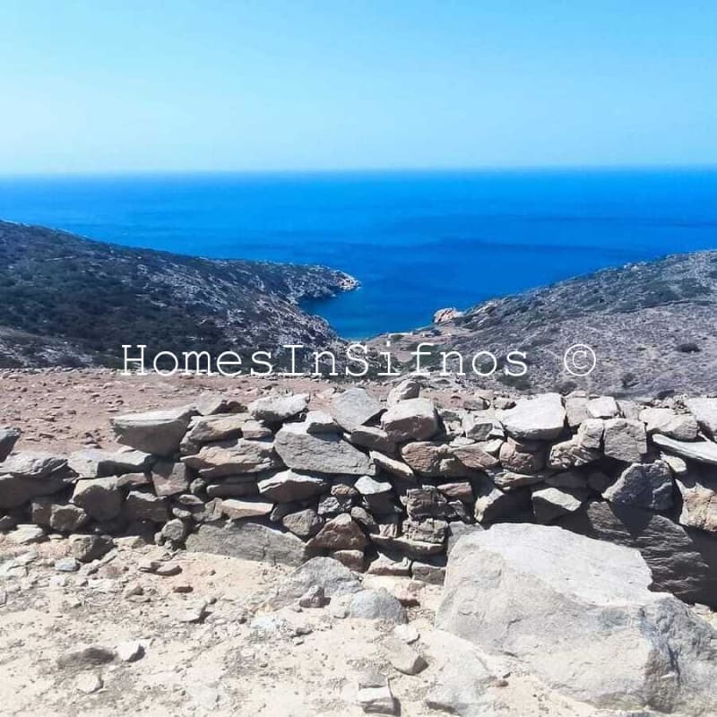 Artemonas Big Land For Sale - 3