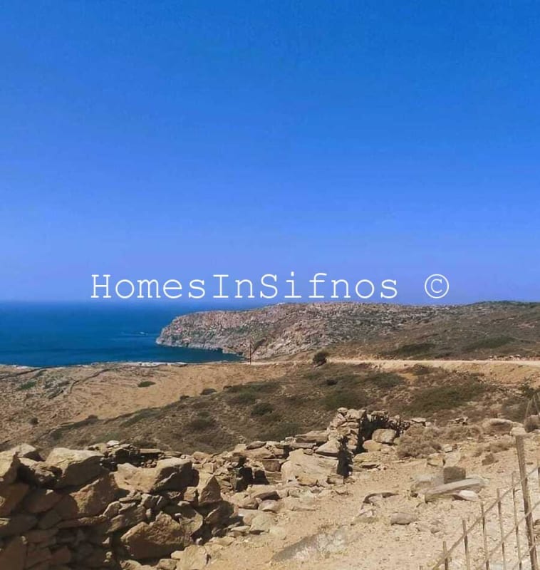 Artemonas Big Land For Sale - 4