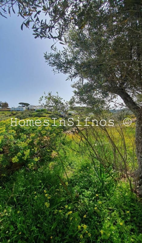 Kato Petali Dovecote & Lands For Sale - 4