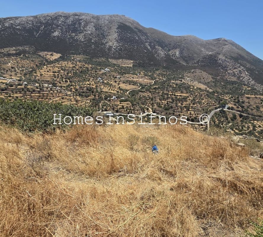 Artemonas Plot & Buildings For Sale - 12