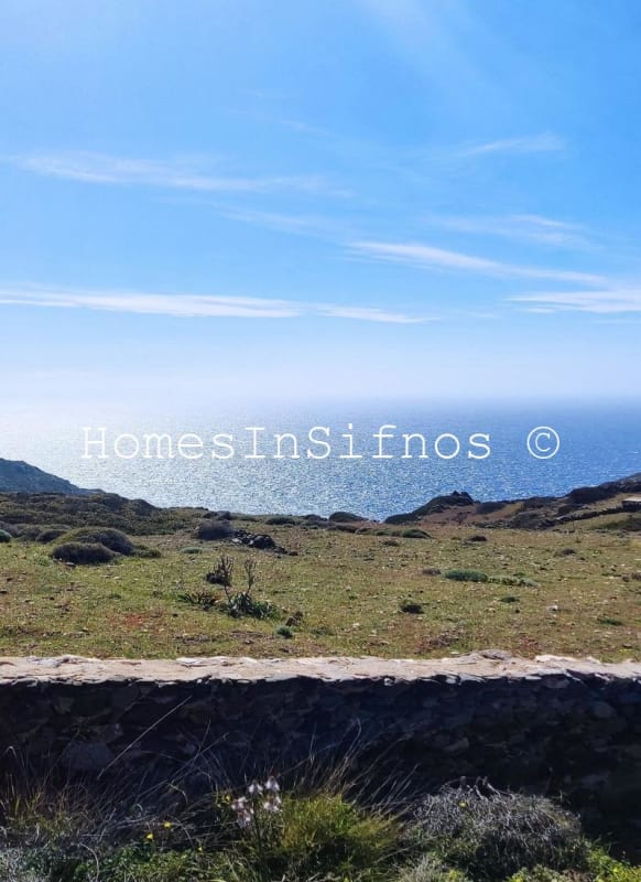 Artemonas Land For Sale - 4
