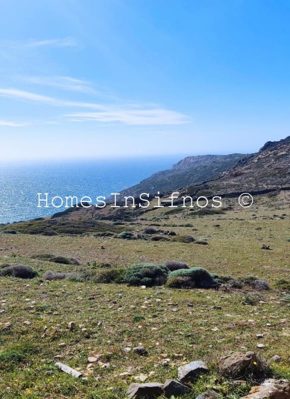 Artemonas Land For Sale - 6