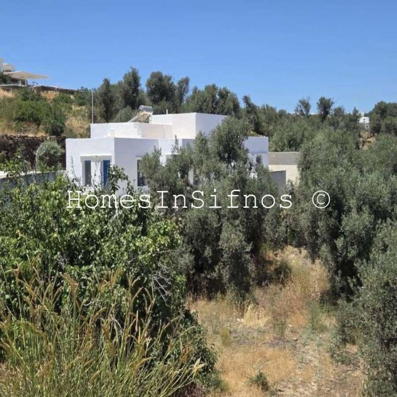 House & 3 Studios With Endless Possibilities For Sale - 3
