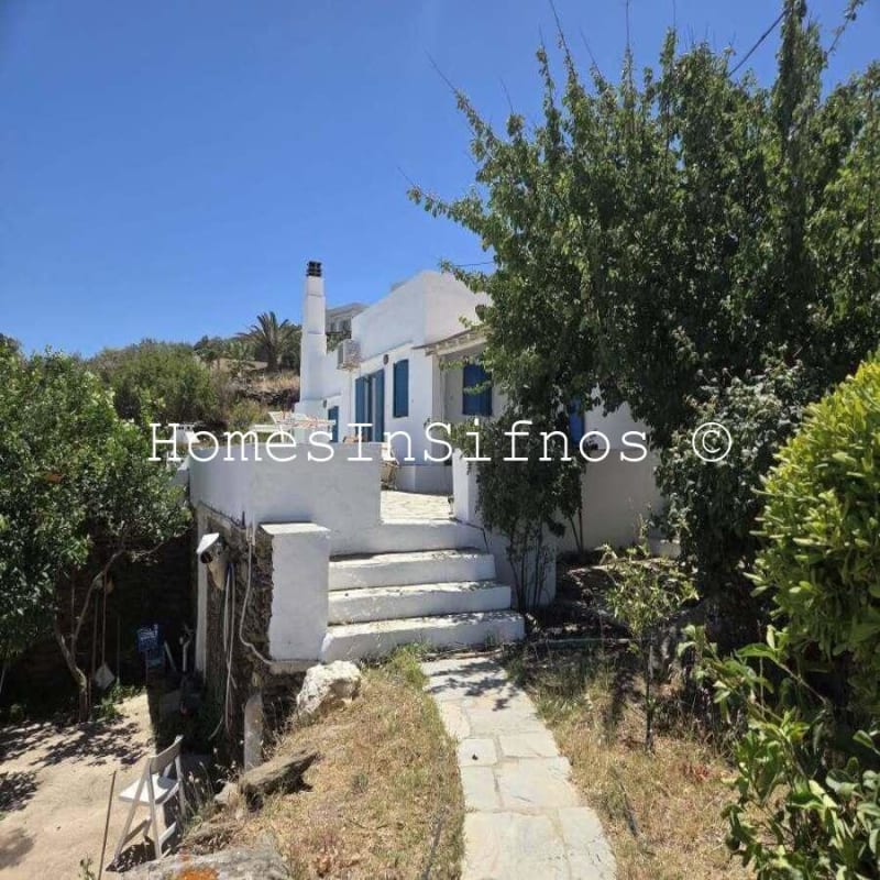 House & 3 Studios With Endless Possibilities For Sale - 4