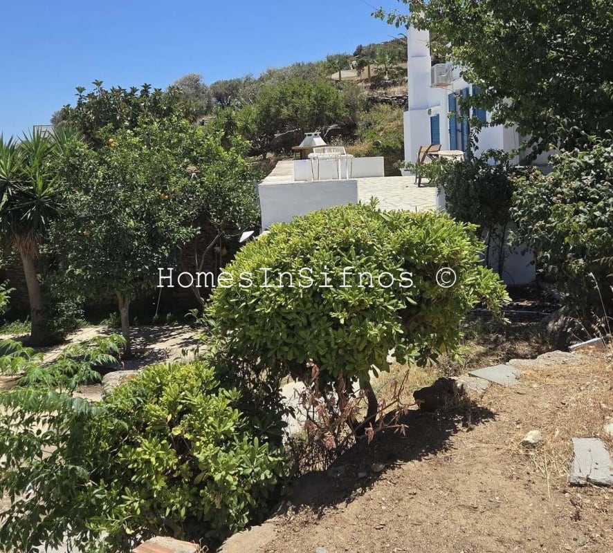 House & 3 Studios With Endless Possibilities For Sale - 8