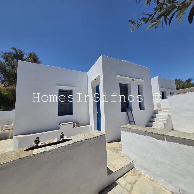 House & 3 Studios With Endless Possibilities For Sale - 15