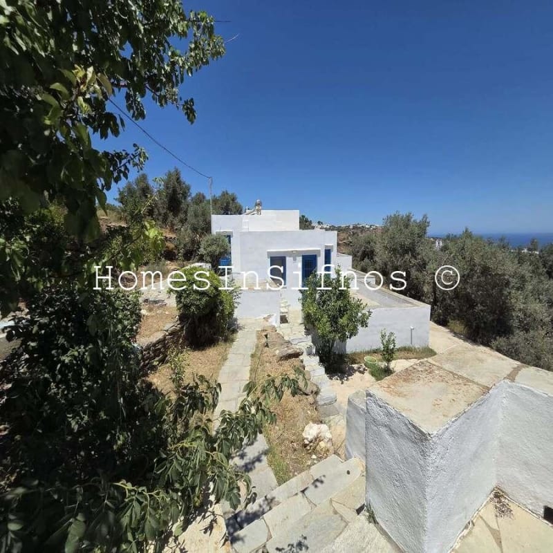 House & 3 Studios With Endless Possibilities For Sale - 16