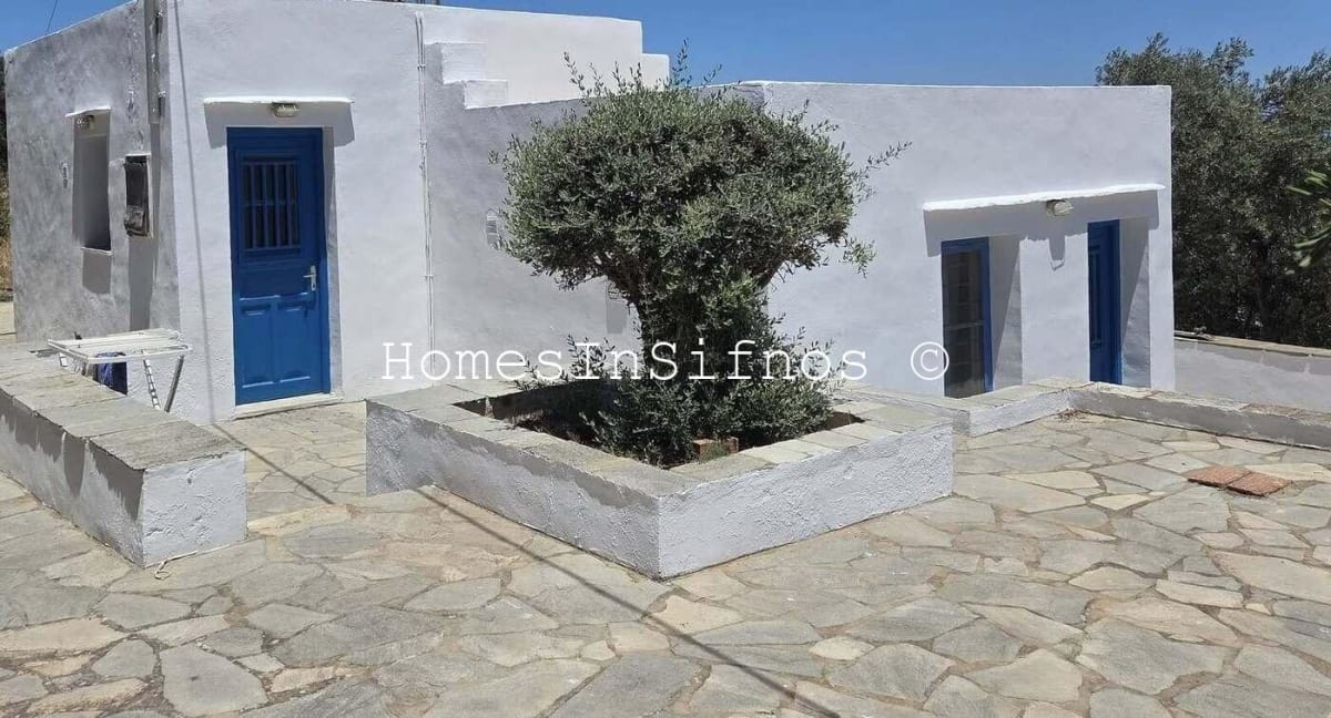 House & 3 Studios With Endless Possibilities For Sale - 17