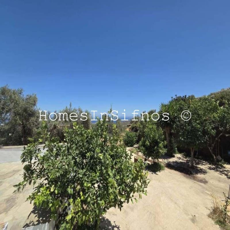 House & 3 Studios With Endless Possibilities For Sale - 19