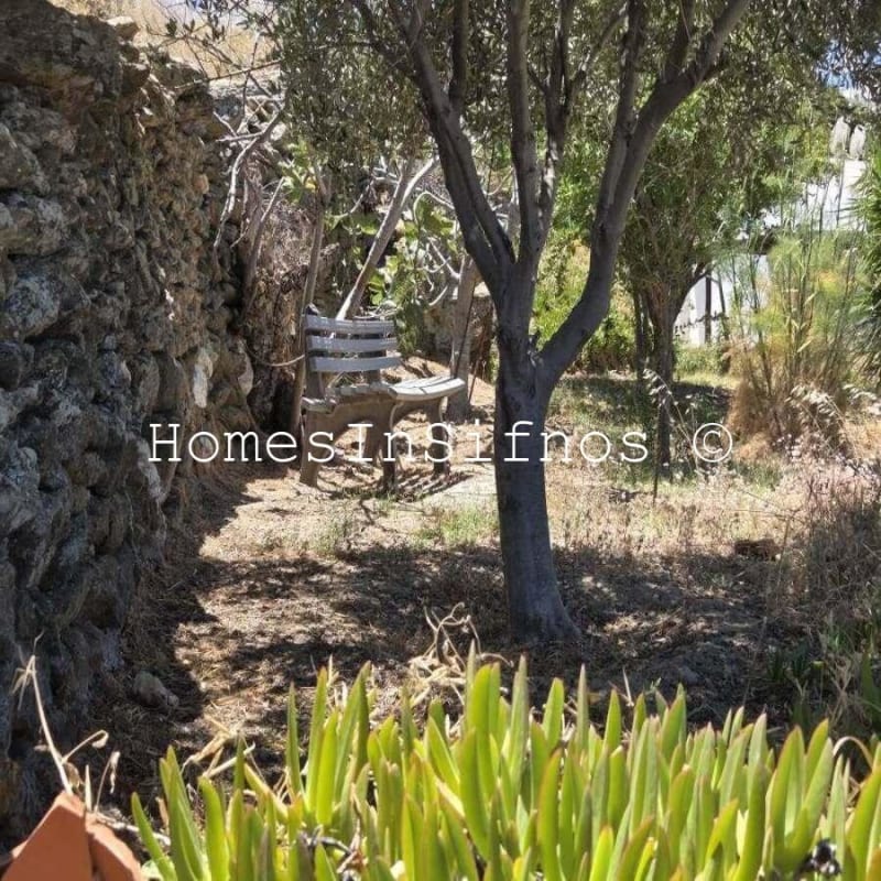 House & 3 Studios With Endless Possibilities For Sale - 20