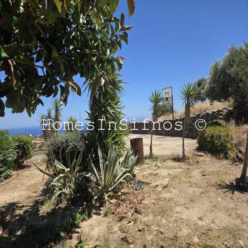 House & 3 Studios With Endless Possibilities For Sale - 21