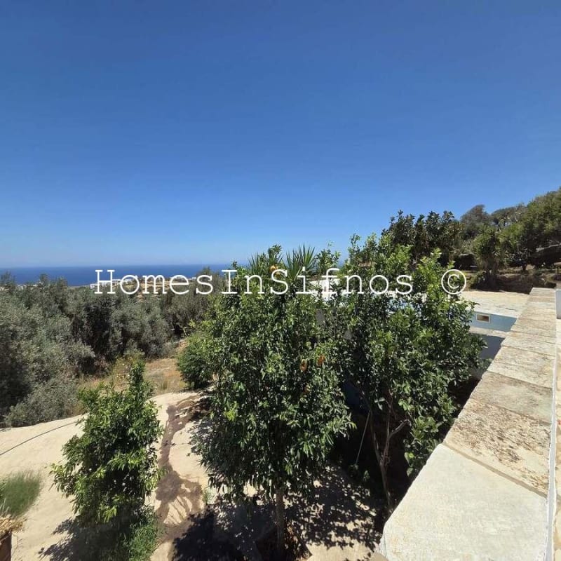 House & 3 Studios With Endless Possibilities For Sale - 24