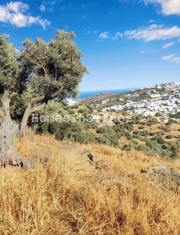 Lagada Apollonia Land For Sale - 4