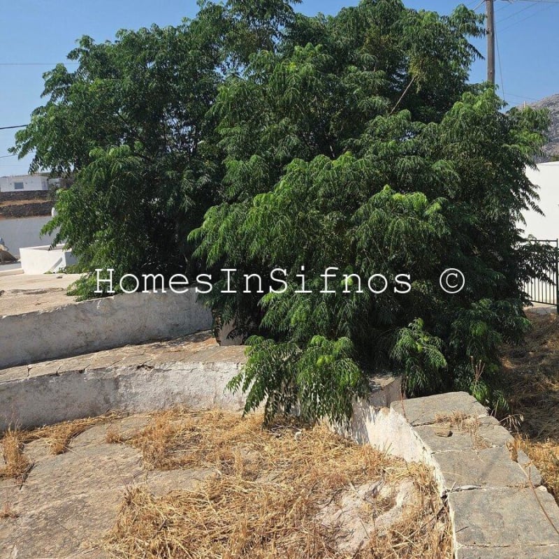 Artemonas Land & Stone Buildings For Sale - 7