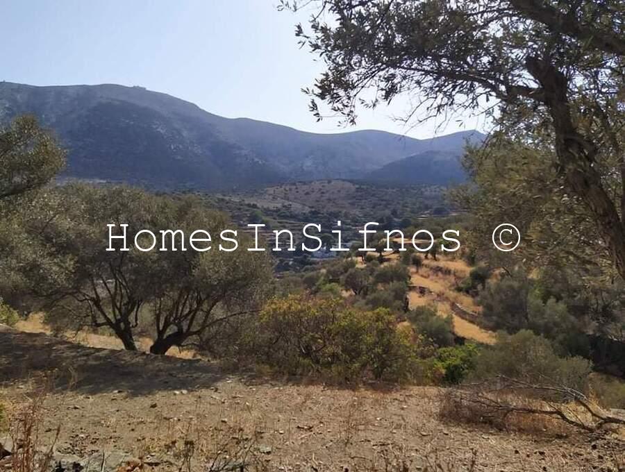 Platanisa Land For Sale - 2