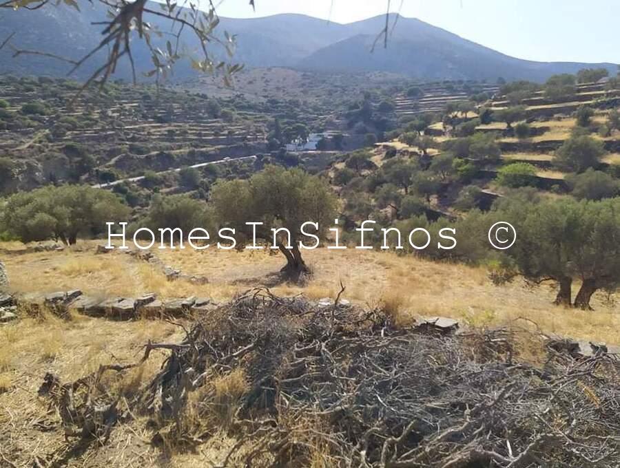 Platanisa Land For Sale - 3