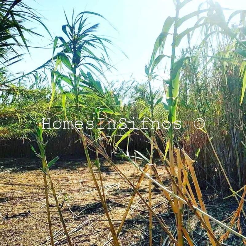 SERIFOS GR LIVADI LAND FOR SALE - 1