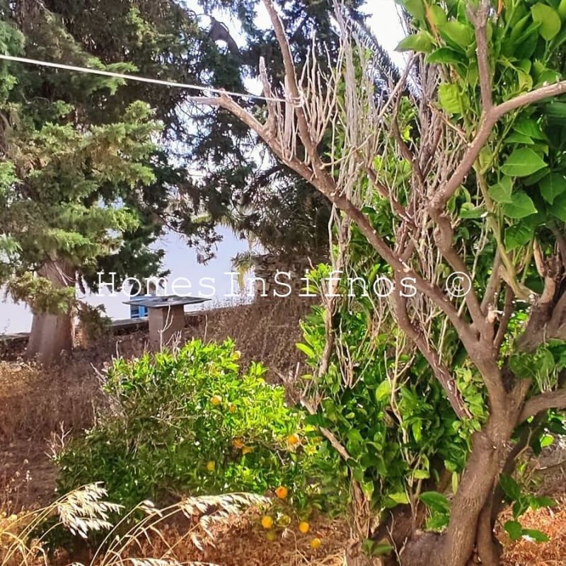 Ano Petali Land Building With Garden & Sea View For Sale - 2