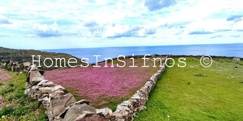 Faros Land For Sale