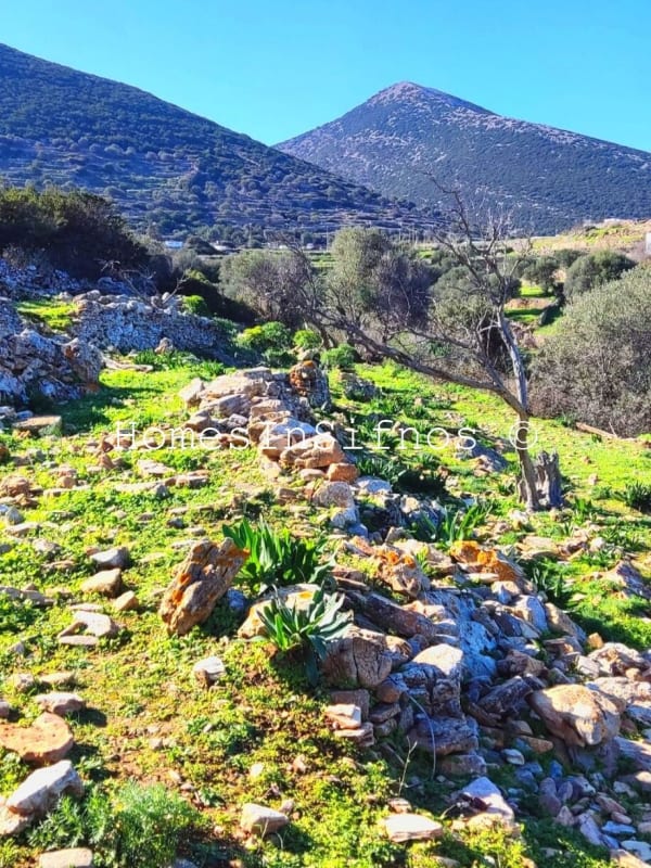 Land For Sale In Apollonia