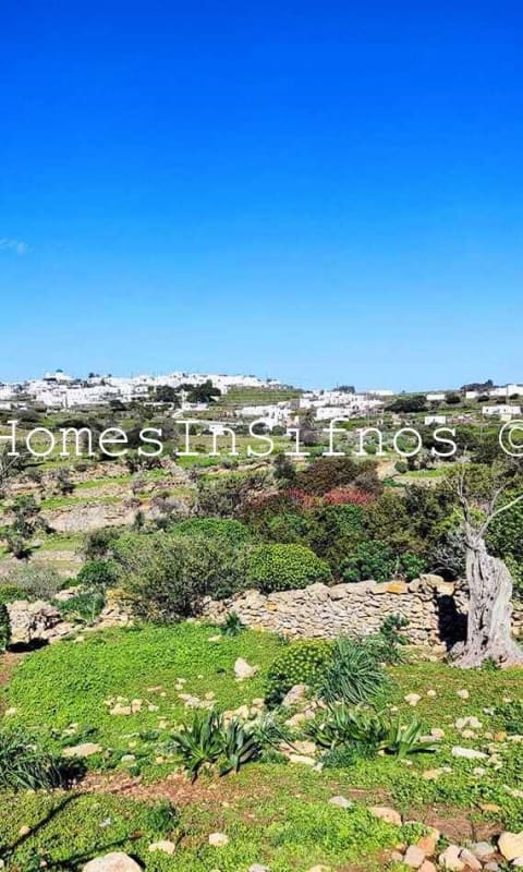 Land For Sale In Apollonia - 5