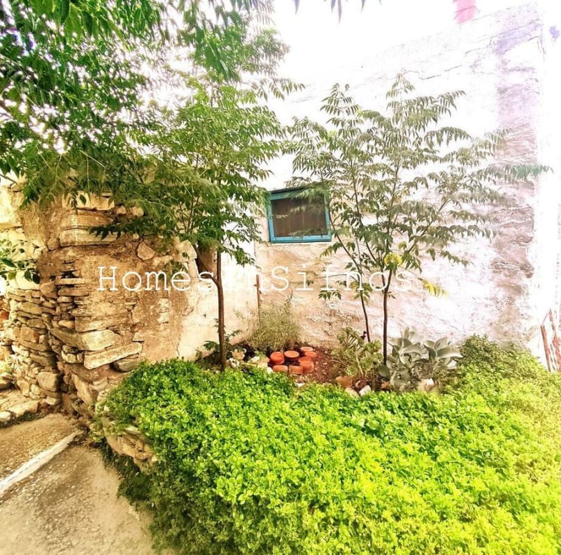 Katavati Plot & Old Building - 2