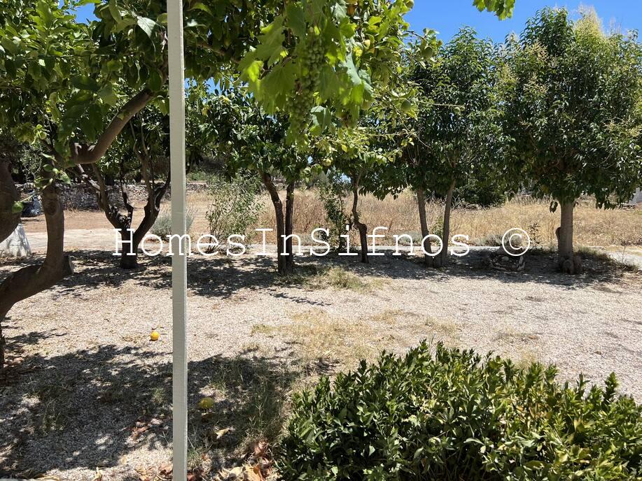 House For Rent - 7