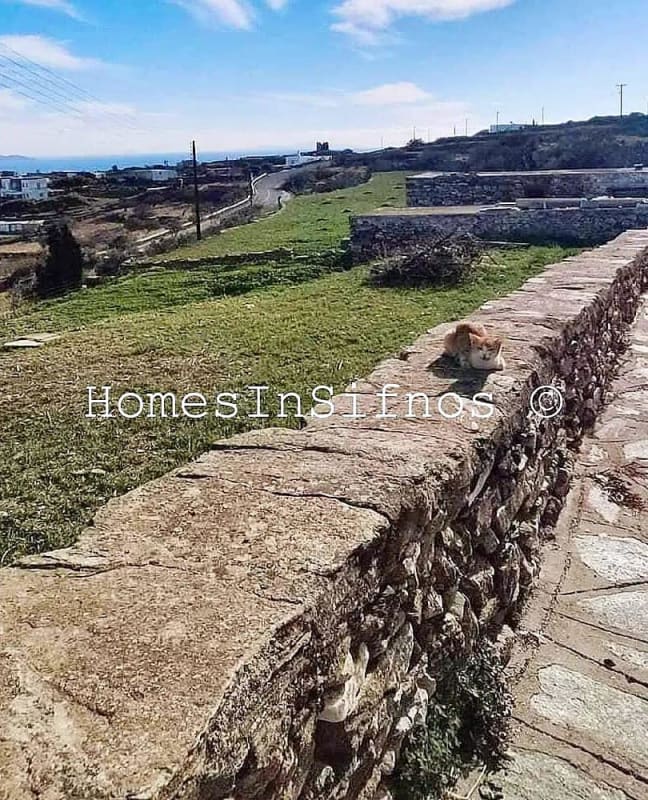 Katavati Land For Sale