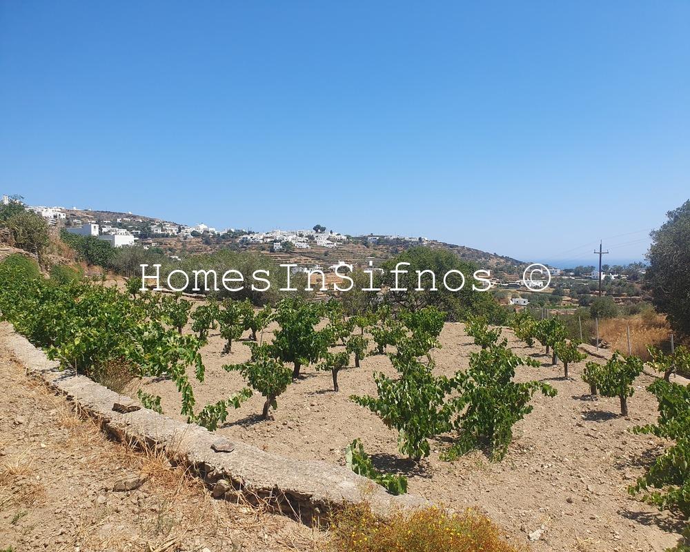 Apollonia Land Buildable For Sale - 2