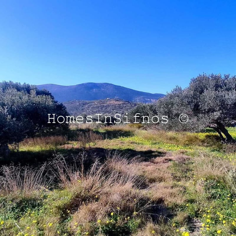 Land With Buildings For Sale