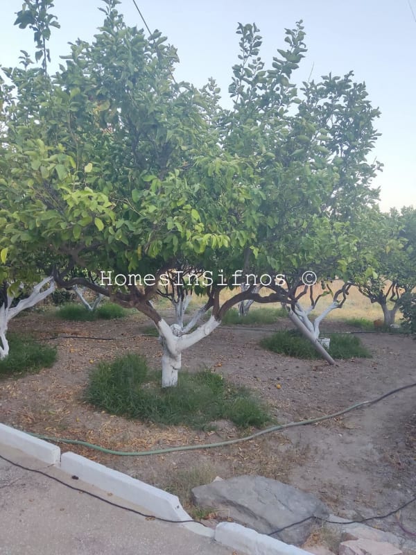 House For Sale - 12
