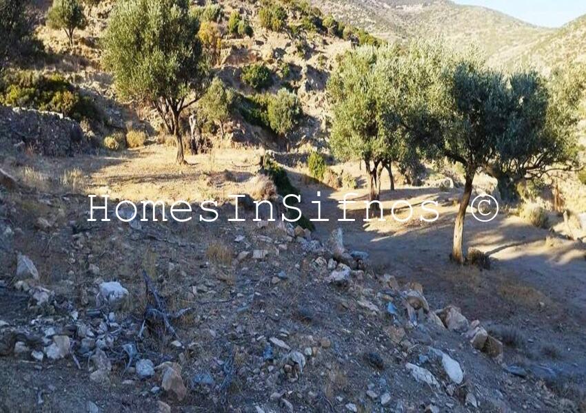 Sifnos Vigla Land With Building Permit For Sale - 4