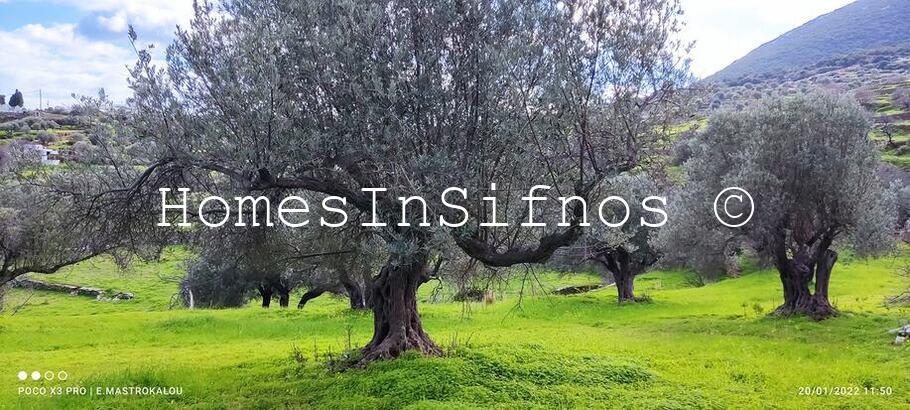 Apollonia Land For Sale - 3